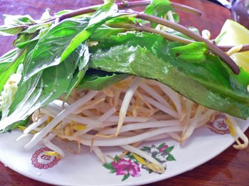 Phohoahiep09 Phohoahiep09