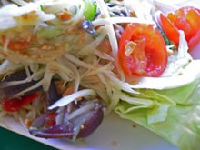 Pokpok10