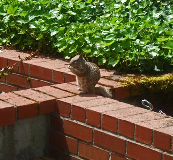 Portlandseattle_094_2