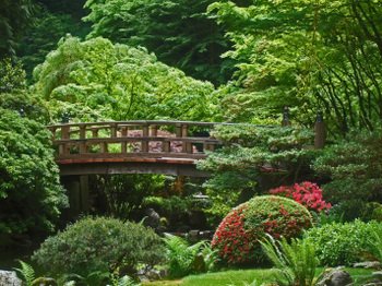 Portlandseattle_116_2