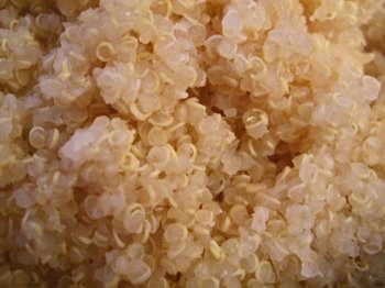 Quinoa_salad04