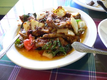 Sangdao04