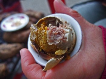 Sapastreetfood10