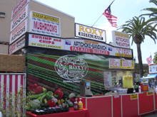 Sdcf2007_023