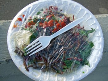 Sdtet200719