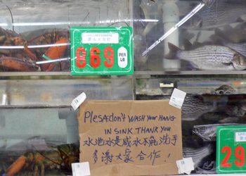 Sfmarket09