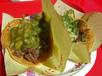 Tacoselgordo_015