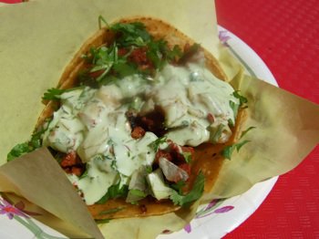 Tacoselgordo_022