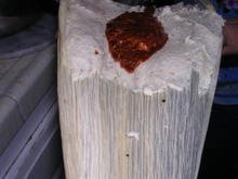 Tamale_006_1