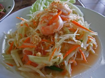 Thaitara09 Thaitara09