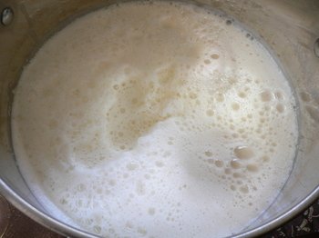 Tofu05