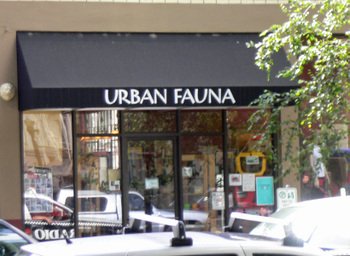 Urbanfauna01