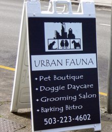 Urbanfauna02