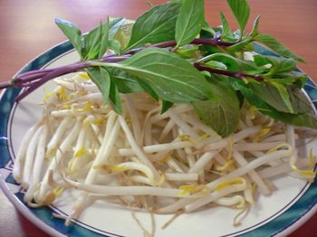 Vietcali03 Vietcali03