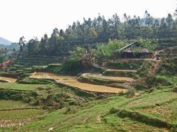 Vn200802_074