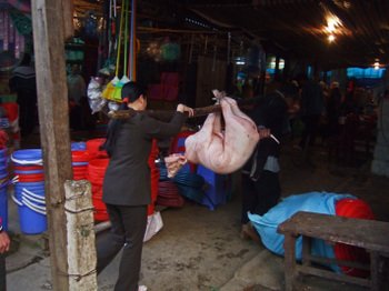 Vn200802_177