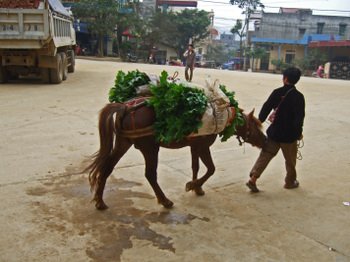 Vn200802_299_2