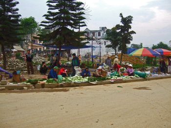 Vn200802_306