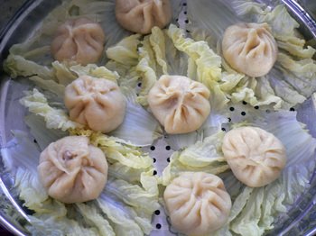Xlb01