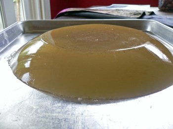 Xlb13