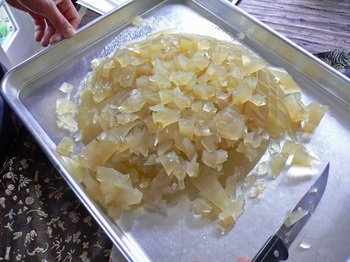 Xlb14