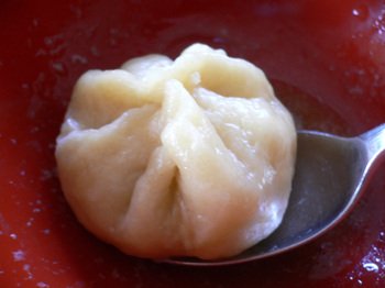 Xlb19