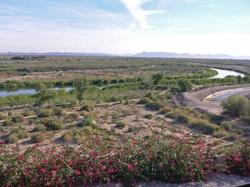 Yuma01