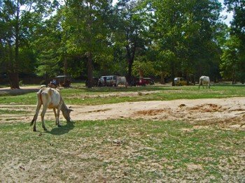Vacationm2008_156