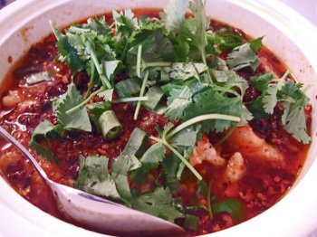 07252008_001 07252008_001