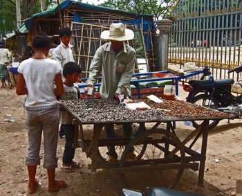 Cambodia200801_856