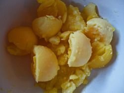 LPSalad03