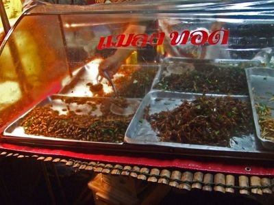 NongKhai1n11