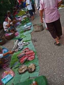 LPFreshMarket08