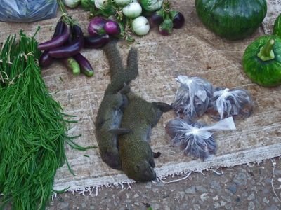 LPFreshMarket20