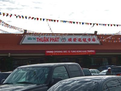 ThuanPhat01