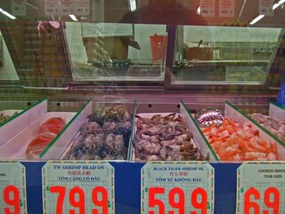 ThuanPhat04