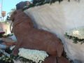 Roseparade09 057