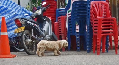 LuangPrabangParty05