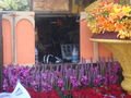Roseparade09 040