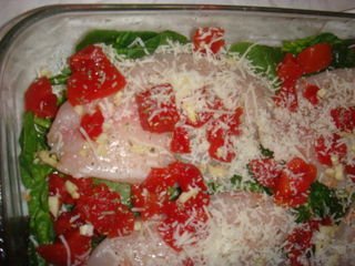 DSC03008