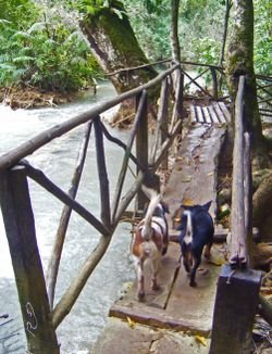 KuangSi10