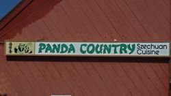PandaCountry11