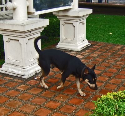 Vacation2008ThsiLaos02 373