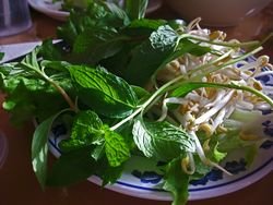 HuynhHoaTuuP210