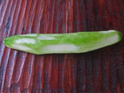 StirFriedBittermelon07