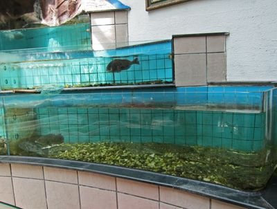 Vacation 2010 01 1081