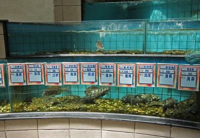 Vacation 2010 01 1082