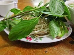 PHoaHuangRev04