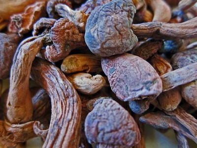 DryCookedMushroom03