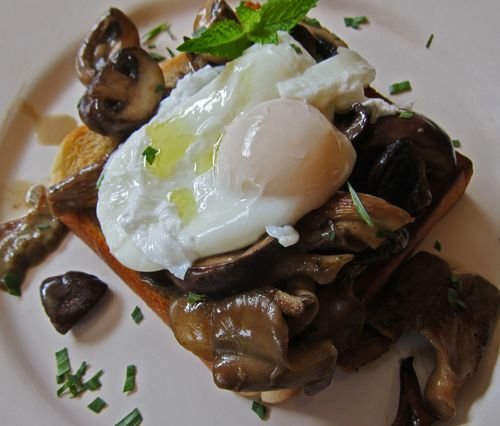 Mushroom Ragout Poached Egg 01